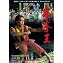 The South Shaolin Master