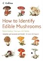 How to Identify Edible Mushrooms