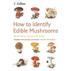 How to Identify Edible Mushrooms