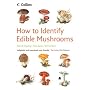 How to Identify Edible Mushrooms