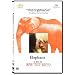 Elephant: A Film By Gus Van Sant