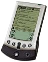 Palm Vx