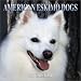 American Eskimo Dogs 2004 Calendar