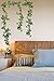 Crearreda CR-54152 Ivy Wall Decals, Green