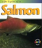 Life cycle of a salmon