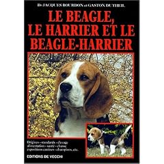 Le beagle, le harrier et le beagle-harrier