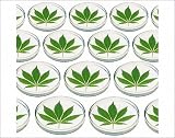 Photographic Prints of Cannabis research from Science Photo Library 51YPWMpMh2L. SL160 Photographic Prints of Cannabis research from Science Photo Library