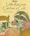 Little Raccoon Catches a Cold   (SidebySide Books for Collaborative Reading)