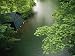 A Boathouse on the Headwaters of the Susquehanna River at Otsego Lake Photographic Po...