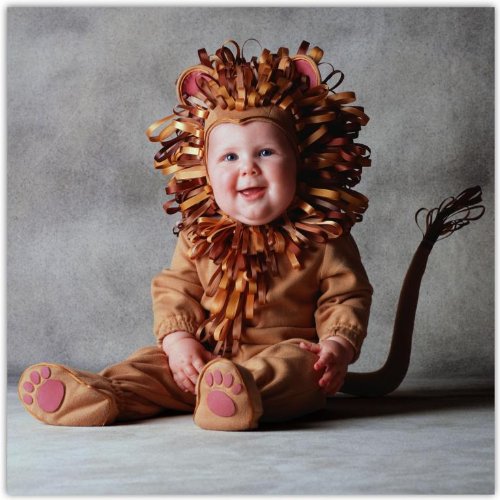 Tom Arma Lion Signature Limited Edition Baby Costume - (Infant 12-18 Months)