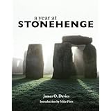 a year at stonehenge