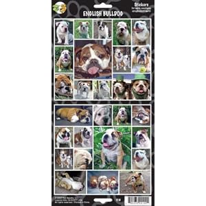 Pet Qwerks S18 English Bulldog Dog Sticker