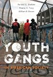 Youth gangs in American society