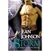 Storm, The: A Novel of the Sons of Destiny (Sons of Destiny Novels)