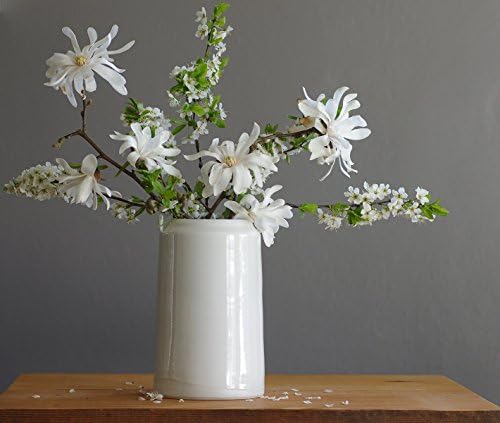 White Porcelain Jar