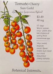 Tomato Seeds Cherry Sun Gold 24 Seeds Hybrid