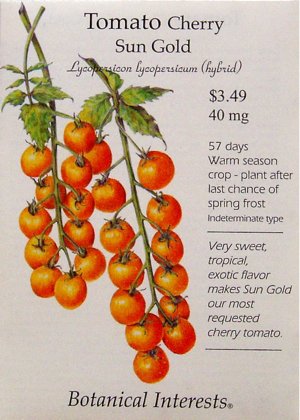 Tomato Seeds Cherry Sun Gold 12 Seeds Hybrid