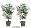 TWO 5' Artificial Dwarf Areca Palm Trees, with No Pot,