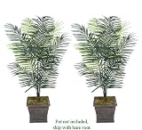 TWO 5' Artificial Dwarf Areca Palm Trees, with No Pot,