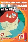 TV Kult - Die Wunderbare Reise des kleinen Nils Holgersson mit den Wildg�nsen - Folge 12