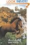 Phantom Stallion #19: Secret Star