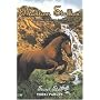 Secret Star (Phantom Stallion)