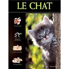 Chat