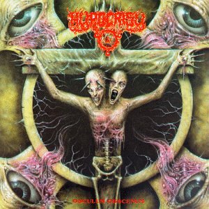 Hypocrisy - Mental Emotions Lyrics - Zortam Music