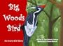 Big Woods Bird: An Ivory-bill Story