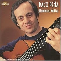 Flamenco Guitar