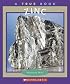 Zinc (True Books)