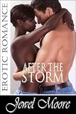 After the Storm