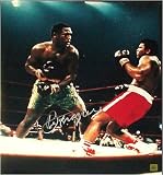 Joe Frazier Signed 16 X 20 Photo (Ali/Frazier I Color Knockdown) - Boxing - Authentic Autographed