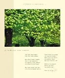 I offer you a forest by Francis Pelletier. ART PRINT Canvas Rolled.. 19.00 inches width by 22.00 inches height. Highest Quality Art Poster Print