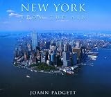 New York from the Air (From the Air)
