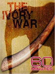 60 Minutes - The Ivory War (November 4, 2007)