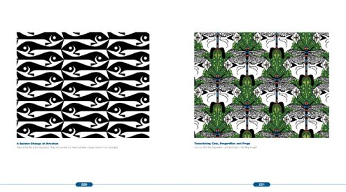 Optical Illusions: The Science of Visual Perception (Illusion Works) under Physiological Aspects in The Books Store