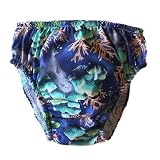 Reusable Swim Diaper (12mo, Diving Dolphins)