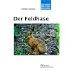 Der Feldhase: Lepus europaeus