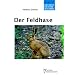 Der Feldhase: Lepus europaeus