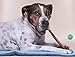 Downtown Pet Supply Bully Sticks for Dogs (12