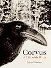 Corvus