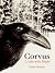 Corvus