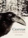 Corvus: A Life with Birds