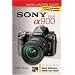 Magic Lantern Guides: SONY DSLR A900