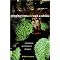 Rainforests