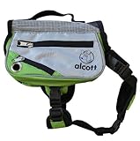 Alcott Explorer Adventure Backpack, Medium, Green