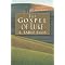 Helpful Books About The Gospel of Luke