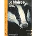 Le blaireau d'Eurasie