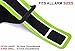 Revere Sport Phone Arm Band Case for iPhone 6S, 6, 5 and Samsung Galaxy S7, S6, S5 - Yellow